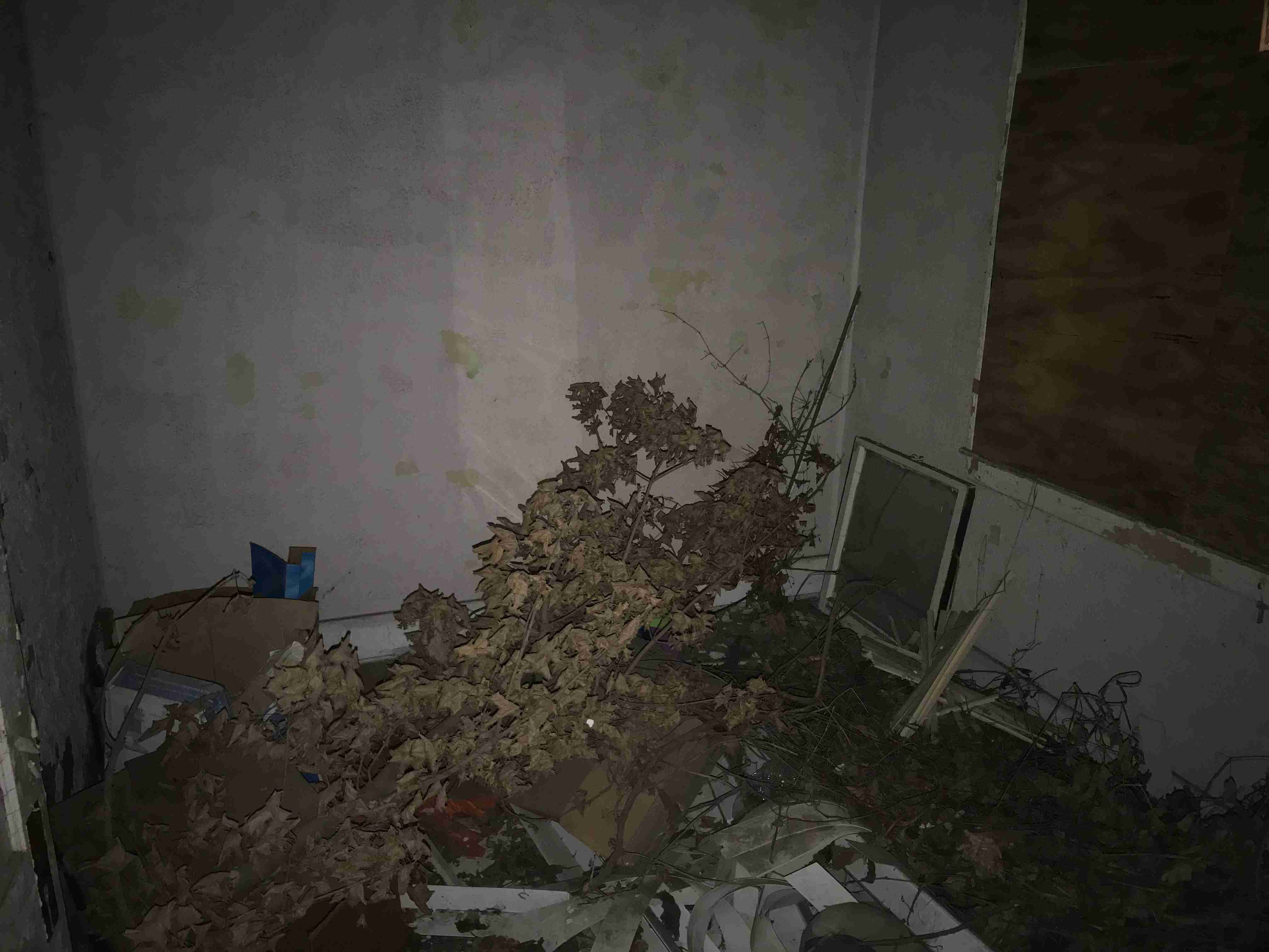 Photo Aug 20, 10 17 47 AM.jpg